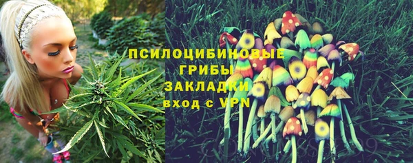 ПСИЛОЦИБИНОВЫЕ ГРИБЫ Вяземский