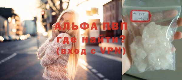 ПСИЛОЦИБИНОВЫЕ ГРИБЫ Вяземский