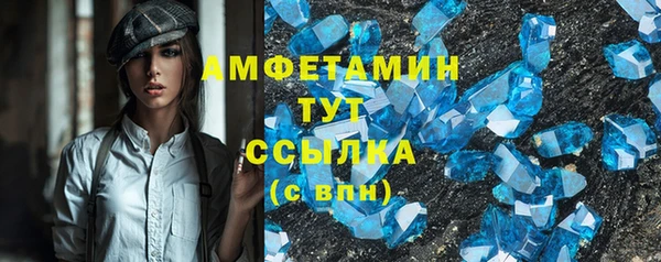 ПСИЛОЦИБИНОВЫЕ ГРИБЫ Вяземский