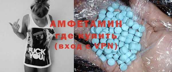 ПСИЛОЦИБИНОВЫЕ ГРИБЫ Вяземский