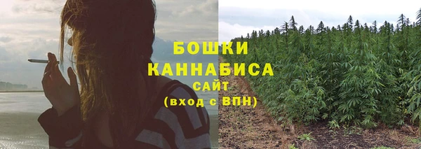 ПСИЛОЦИБИНОВЫЕ ГРИБЫ Вяземский