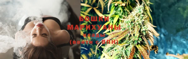 ПСИЛОЦИБИНОВЫЕ ГРИБЫ Вяземский