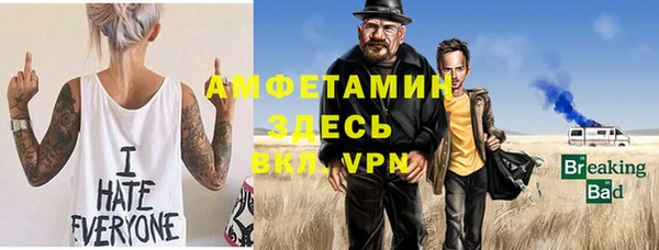 ПСИЛОЦИБИНОВЫЕ ГРИБЫ Вяземский