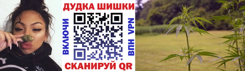 Конопля OG Kush Вяземский